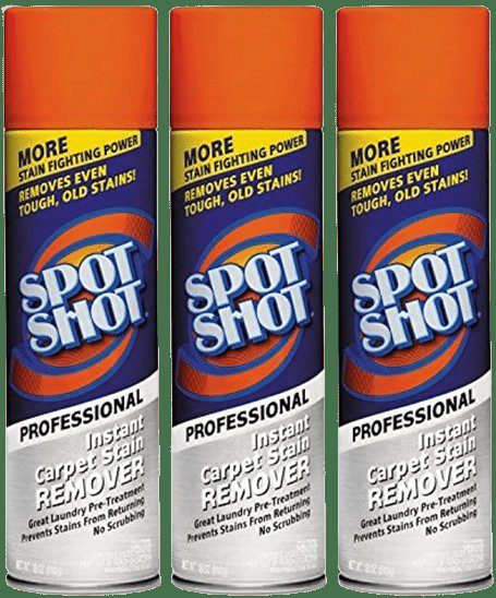 Professional Carpet Stain Remover